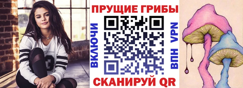 MEGA Красный Кут Псилоцибиновые грибы MAGIC MUSHROOMS